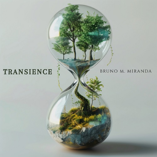 Transience Album Artwork
